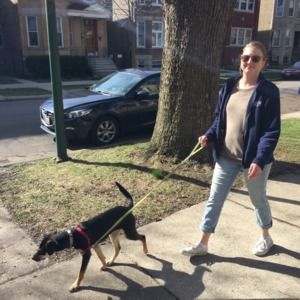 Meet your Posher, Madison